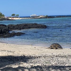 Meet your Posher, Melanie